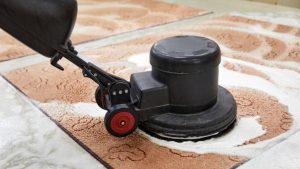 Professional Carpet Cleaning