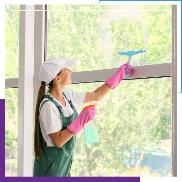 WindowCleaning1