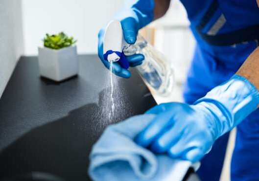 Cleaning Services