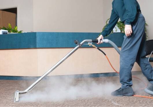 Professional Carpet Cleaning