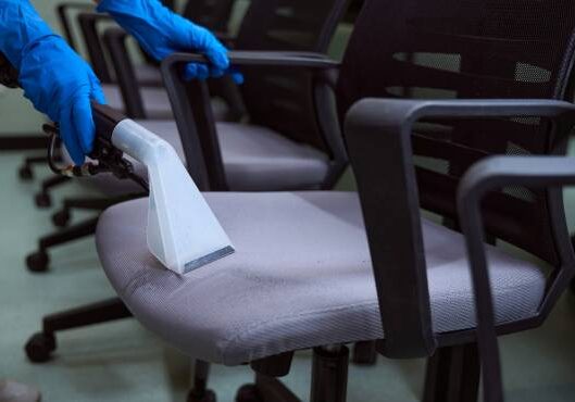 Professional Upholstery Cleaning